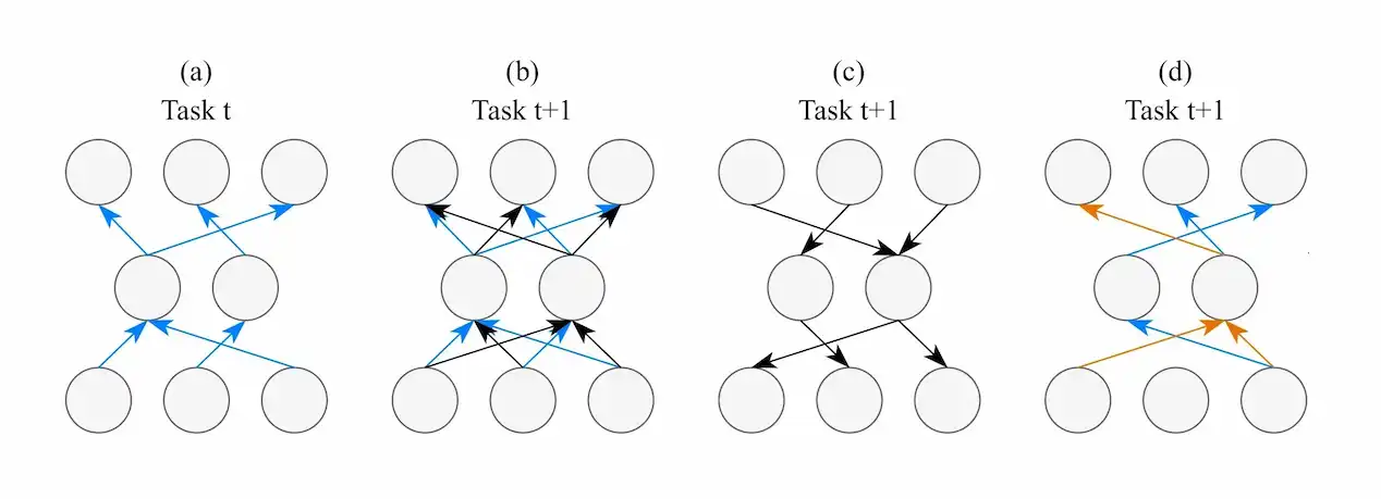 Continual Learning with Dynamic Sparse Training: Exploring Algorithms for Effective Model Updates