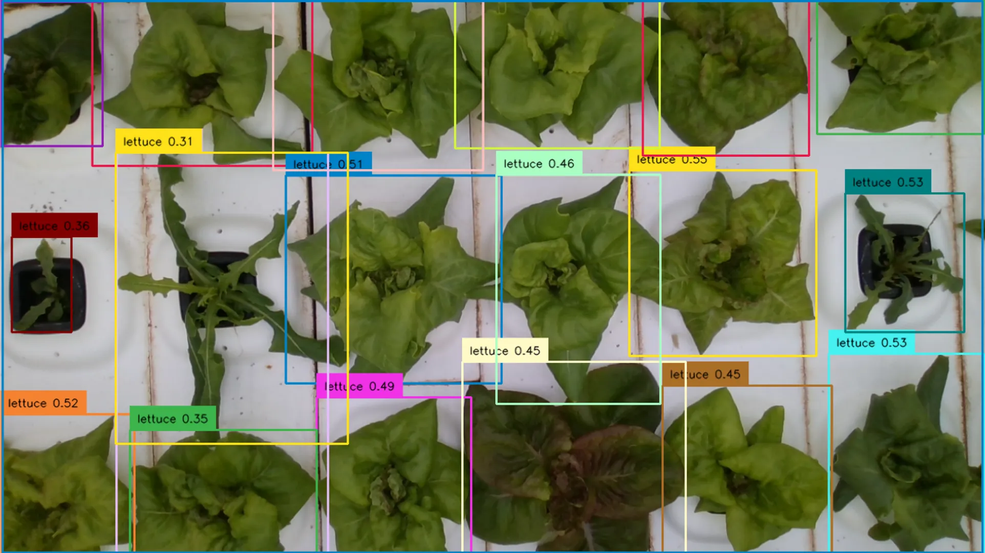 SkyHigh: Leveraging AI in Vertical Farming