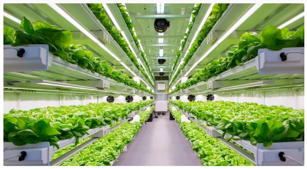 Digital Twin of a Vertical Farm